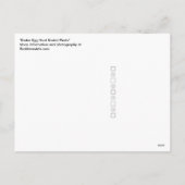 Joyeux OEufs colorés de Pâques Carte postale Photo (Dos)