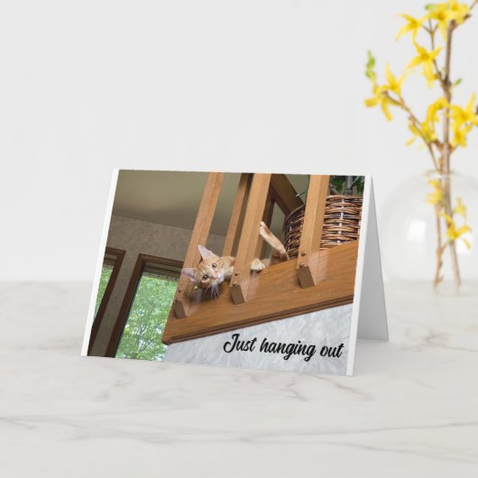 "JOYEUX PÂQUES" DE LA CARTE DE CHAT QUI SE BALANCE (Fleur jaune)