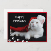 Joyeux Pawidays, Chat, Carte postale Art (Devant / Derrière)