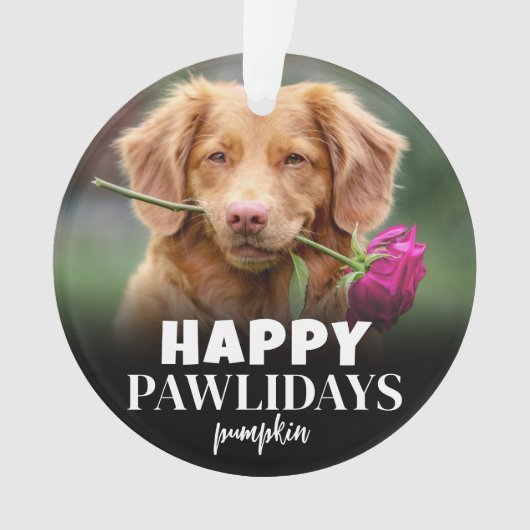 Joyeux Pawlidays mignon Chien Chien Chien Noël (devant)