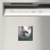 Joyeux petit aimant (In Situ (Lave-vaisselle))