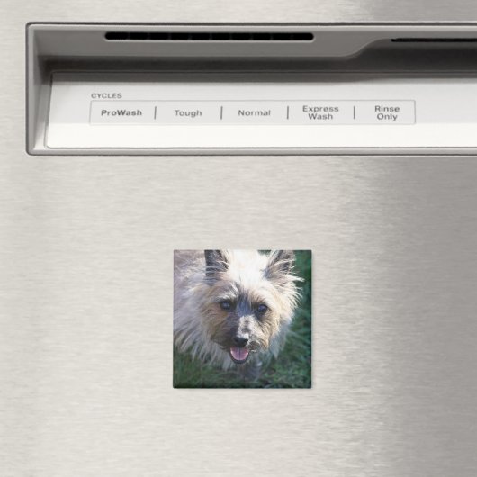 Joyeux petit aimant (In Situ (Lave-vaisselle))