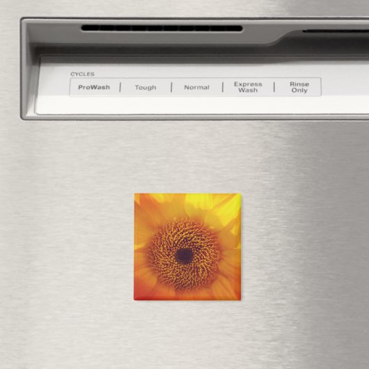 Joyeux petit aimant à fleurs (In Situ (Lave-vaisselle))