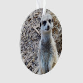 Joyeux Petit Meerkat, (devant)