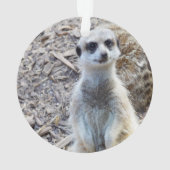 Joyeux Petit Meerkat, (dos)