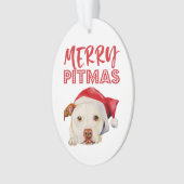 Joyeux portrait de chien de Terrier de pitbull de (devant)