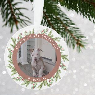 Joyeux Premier Noël de Chien Toutou 2 Photos Verdu