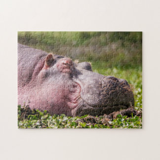 Joyeux puzzle hippo