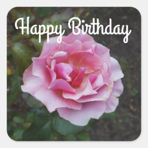 Joyeux Rose Duet Anniversaire #2 Stickers