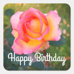 Joyeux Rose Elle Anniversaire #2 Stickers