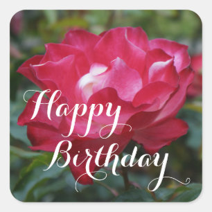 Joyeux Stickers Carré Cherry Parfait #2