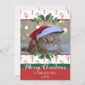 Joyeux Sucre de canne de Noël Vaches Photo Carte d (Devant)