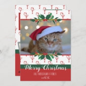 Joyeux Sucre de canne de Noël Vaches Photo Carte d (Devant / Derrière)