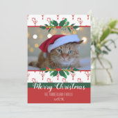 Joyeux Sucre de canne de Noël Vaches Photo Carte d (Debout devant)