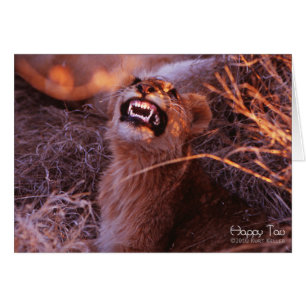 Joyeux Tau, Lion Cub souriant
