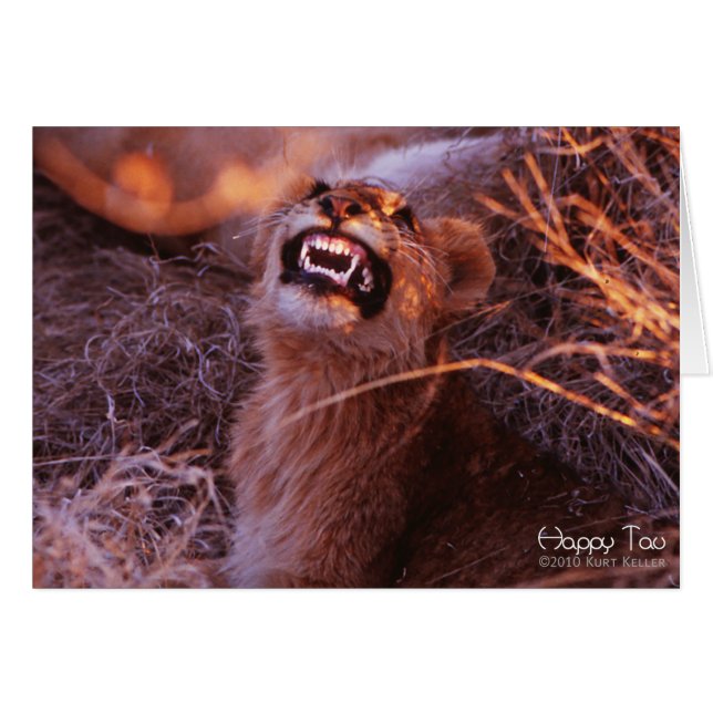 Joyeux Tau, Lion Cub souriant (Devant Horizontal)
