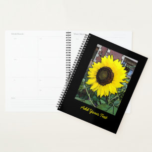 Joyeux tournesol d'anniversaire
