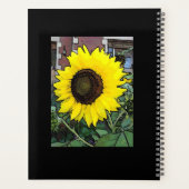 Joyeux tournesol d'anniversaire (Dos)