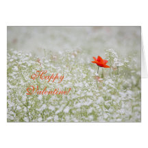 Joyeux Valentine Red Poppy White Flowers Meadow