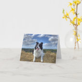 Joyeux WoofDay ! CARTE DE REMPLACEMENT (Fleur jaune)