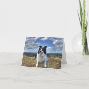Joyeux WoofDay ! CARTE DE REMPLACEMENT