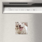 Joyful Bull-doodsbannen Magneet (Insitu (Vaatwasser))