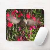 Joyful Hummingbird Mousepad Muismat (Met muis)