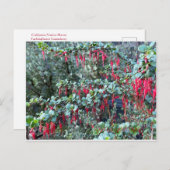 JOYFUL JANUARI! BRIEFKAART (Voorkant / Achterkant)