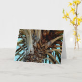 "Joyful Palm" Sluiten, top van boom met blauwe luc Kaart (Gele Bloem)
