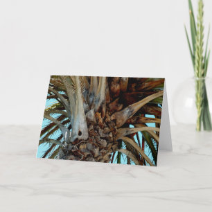 "Joyful Palm" Sluiten, top van boom met blauwe luc Kaart