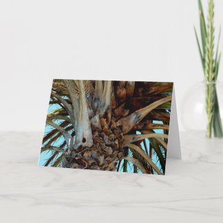 "Joyful Palm" Sluiten, top van boom met blauwe luc Kaart