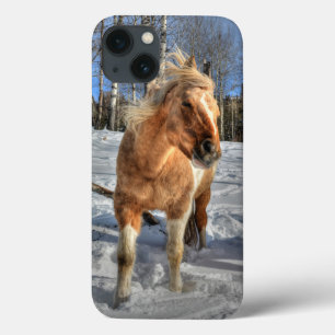 Joyful Palomino Pinto Horse and Snow iPhone 13 Hoesje