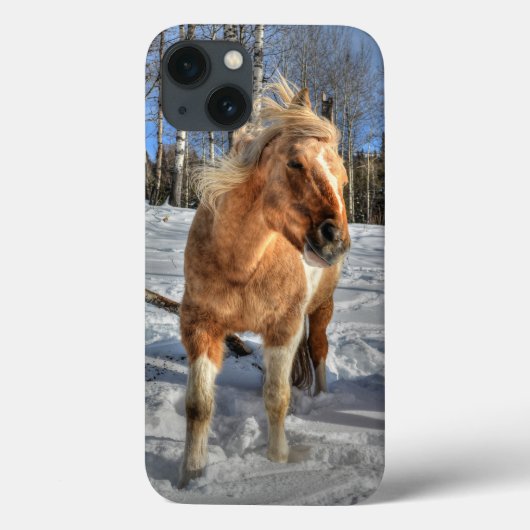 Joyful Palomino Pinto Horse and Snow Case-Mate iPhone Case (Achterkant)