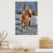 Joyful Palomino Pinto Horse and Snow Poster (Keuken)
