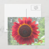 Joyful Rusty Red Sunflower Briefkaart (Voorkant / Achterkant)