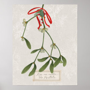 Joyful Tidings   Kus me onder de mistletoe Poster