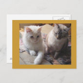 Joyful vrienden briefkaart (Voorkant / Achterkant)