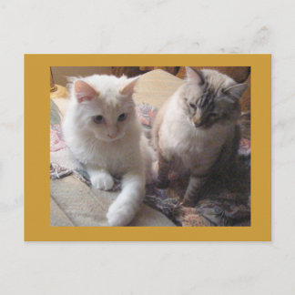 Joyful vrienden briefkaart