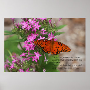 Juan 8:31, 32 con Mariposa Gulf Fritillary Poster