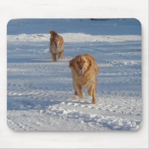 Jubilant Run Muismat