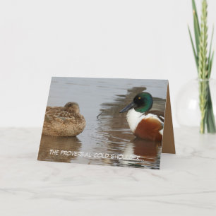 Jubilea kaart met Shoveler eenden