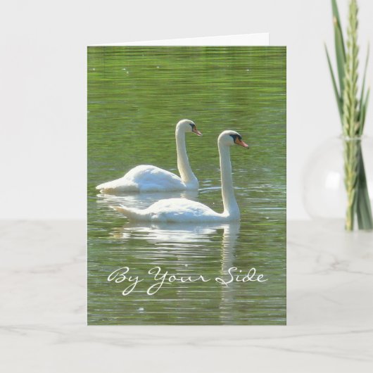 JUBILEUM, "AAN UW ZIJDE", TWEE WITTE ZWANEN, KAART (Voorkant)