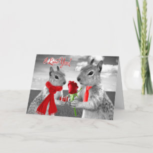 Jubileum Eekhoorns met rood hart in liefde Kaart