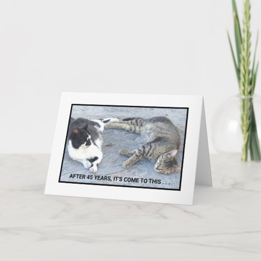 JUBILEUM INHOUD/TWEE SLEEPY CATS/HUMOR KAART (Voorkant)