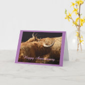 Jubileum kaart Highland runderen (Gele Bloem)