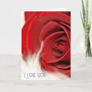 Jubileum rode roodroos op de voorzijde kaart