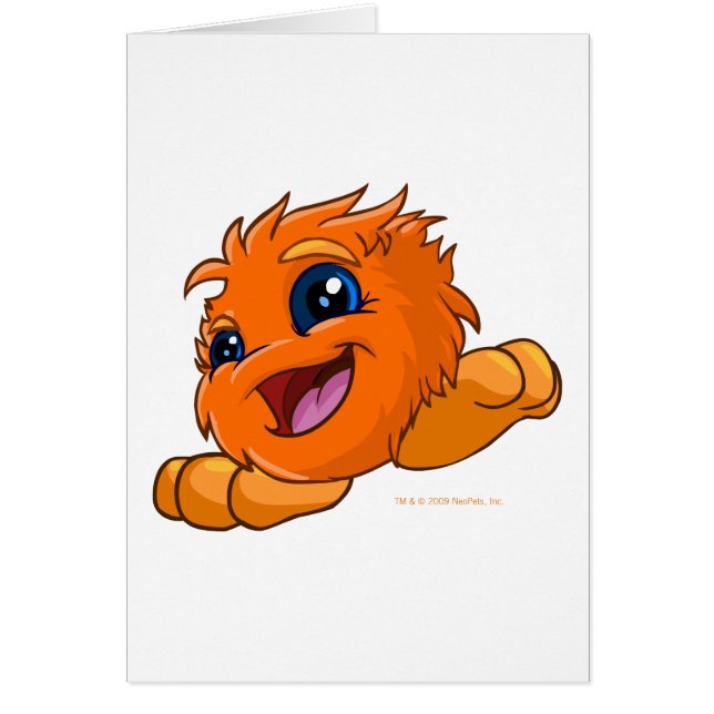 JubJub orange heureux (Devant)