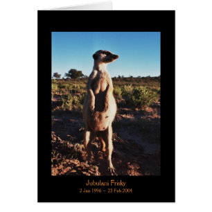 Jubulani vif - carte de légendes