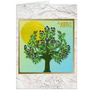 Judaica 12 stammen van Israel Asher