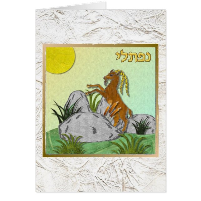 Judaica 12 stammen van Israel Naphtali (Voorkant)